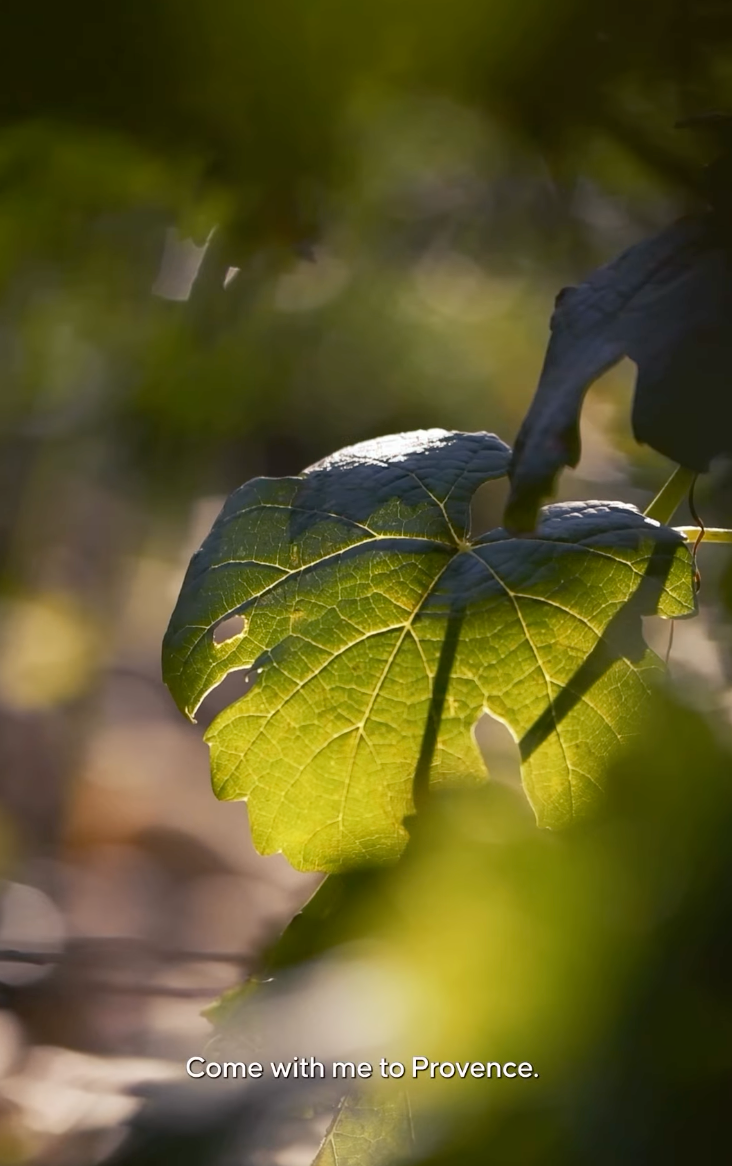 Beau Domaine Skincare by Brad Pitt & Famille Perrin