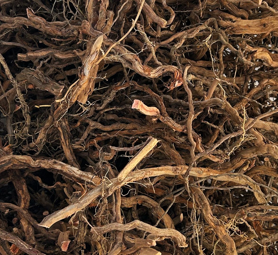 Focus d'un tas de racine de vignes esthétique