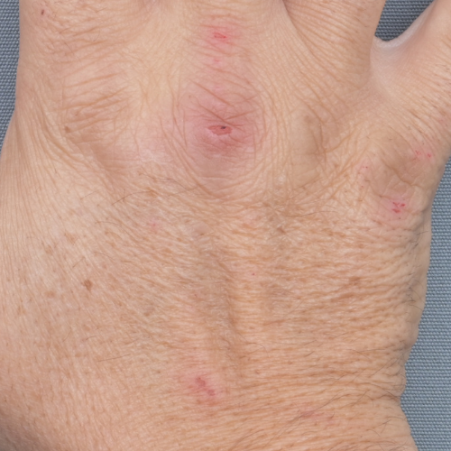 Beau Domaine Skincare by Brad Pitt & Famille Perrin