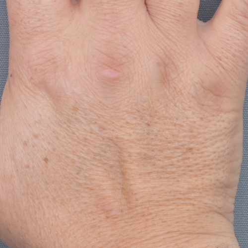 Beau Domaine Skincare by Brad Pitt & Famille Perrin