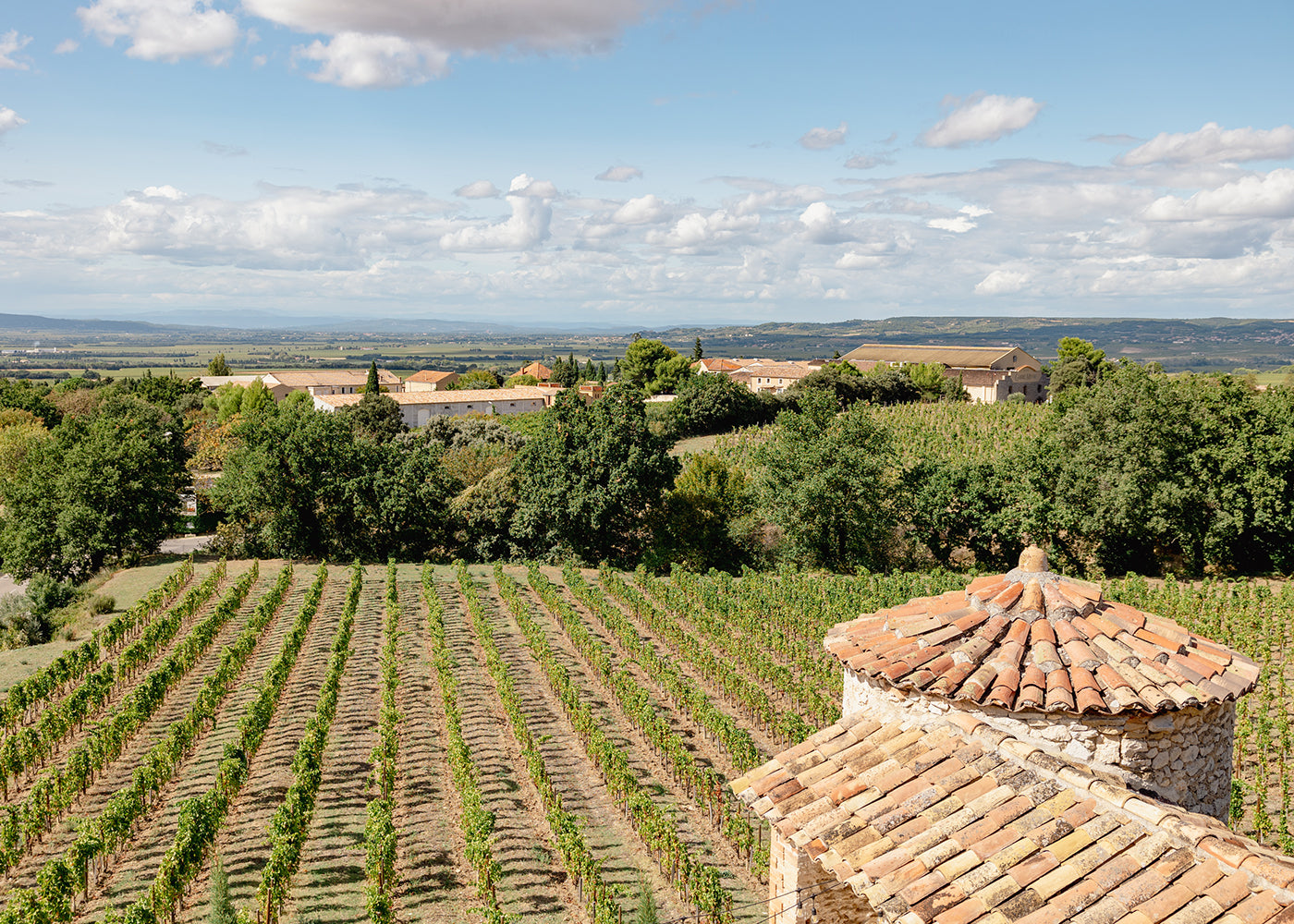 Beau Domaine Skincare by Brad Pitt & Famille Perrin