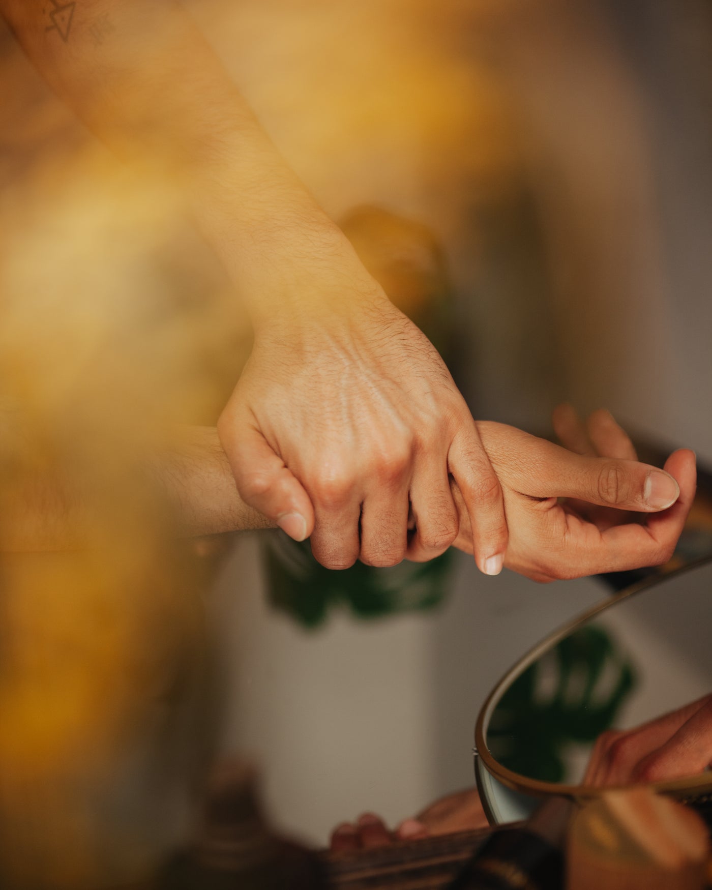 Beau Domaine Skincare by Brad Pitt & Famille Perrin