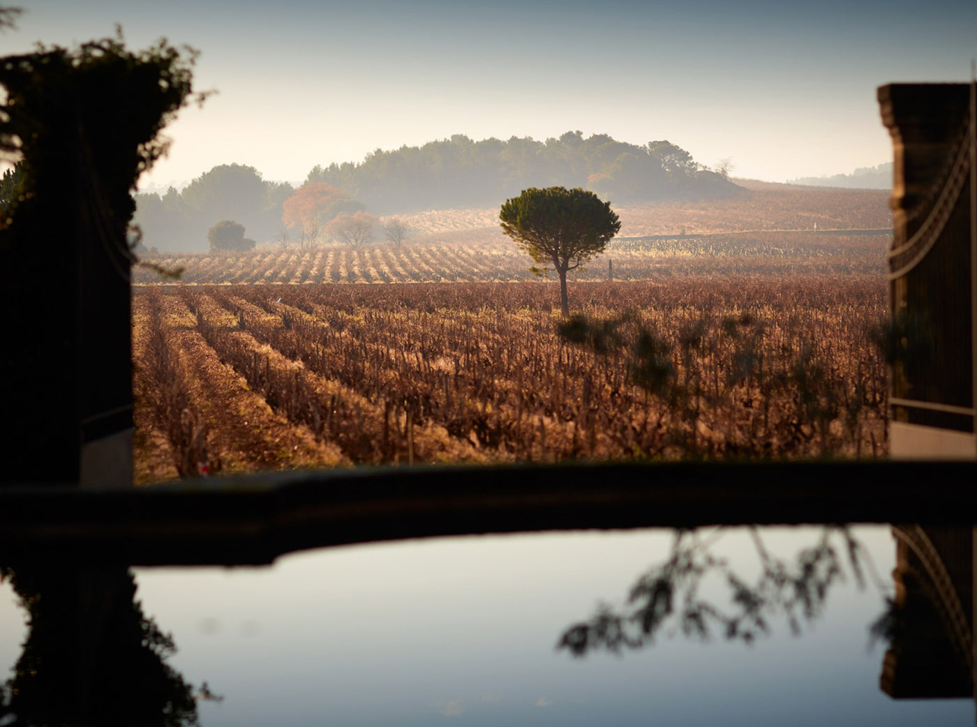 Beau Domaine Skincare by Brad Pitt & Famille Perrin